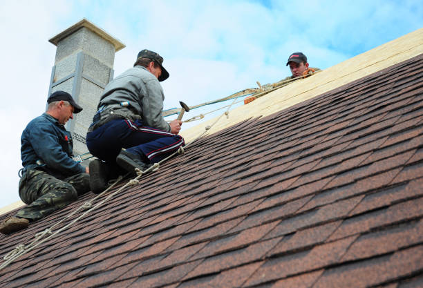 Best Storm Damage Roof Repair  in Milford, NE